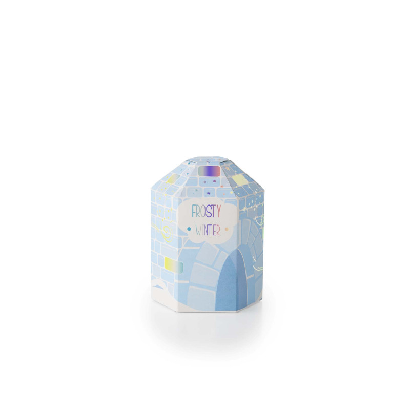 25 BOITES IGLOO