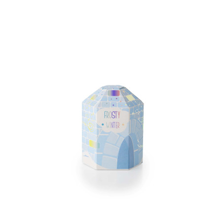 25 BOITES IGLOO