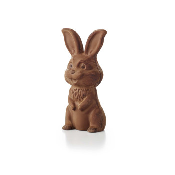 20 MOULES LAPIN PM 2026