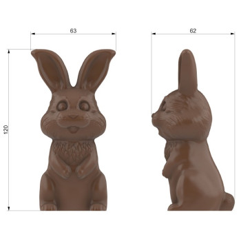 20 MOULES LAPIN PM 2026
